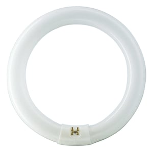 Philips MASTER TL-E Circular 22 W G10q Fluorescent Lamp, Cool White - Daylight
