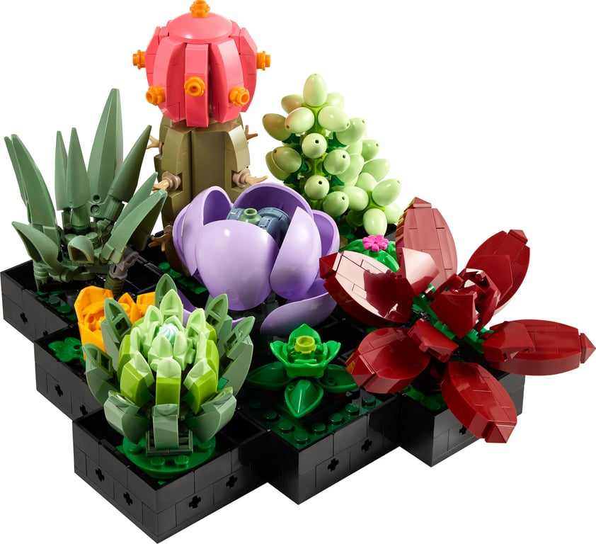 фото Блоковий конструктор LEGO Botanicals Сукуленти (10309)