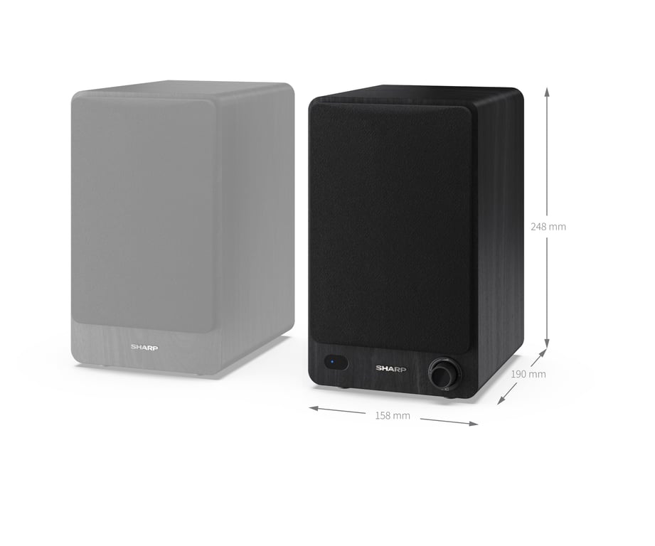 Sharp Bookshelf Speakers 2-drożny Czarny Przewodowy i Bezprzewodowy 60 W