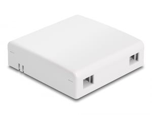 DeLOCK Wall-Mounted Optical Distribution Box, for 2 x SC Simplex or LC Duplex, white