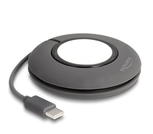 DeLOCK 83019 Smart Personal Accessory Charging Stand Gray, White Silicone
