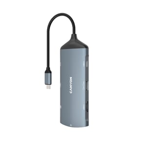 Canyon DS-15 USB 3.2 Gen 1 (3.1 Gen 1) Typ C Grau