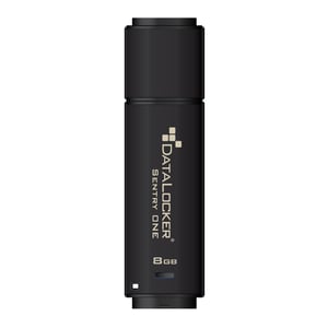 DataLocker Sentry One USB-Stick 128 GB, USB Typ A 3.2 Gen 1 (3.1 Gen 1), schwarz
