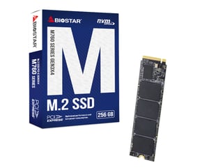 Biostar M760 256 GB M.2 PCI Express 4.0 NVMe
