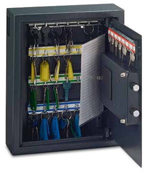 Rieffel VT-ST 35 SE szafka na klucze Szary