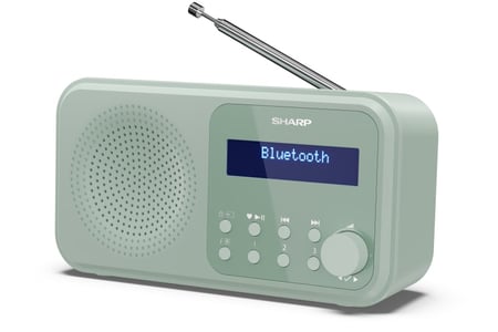 Sharp DR-P420 Przenośny Cyfrowy Zielony