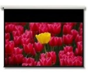 Optoma Panoview 16:9 106"-Projektionsleinwand, 2,69 m (106")