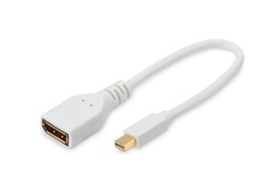Ednet 84508 kabel DisplayPort 0,15 m Mini DisplayPort Biały