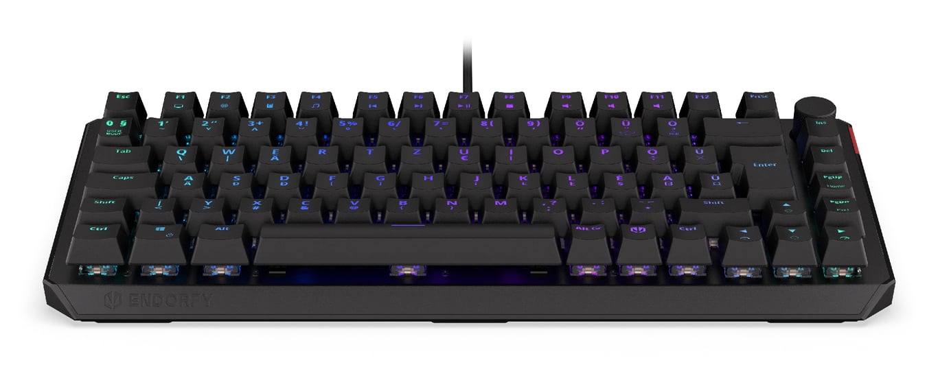 ENDORFY EY5E007 klawiatura Gaming USB Węgierski Czarny