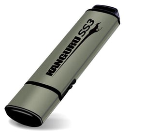 iStorage Kanguru 64GB SS3 USB3.0 pamięć USB USB Typu-A 3.2 Gen 1 (3.1 Gen 1) Aluminium