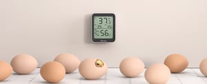 Govee H5075 Wewnętrzna Czujnik temperatury i wilgotności Wolnostojący Bezprzewodowy