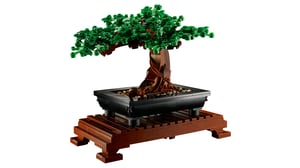 LEGO Botanicals Drzewko bonsai