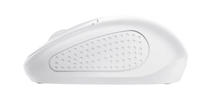 Trust Primo myszka Podróżniczy Oburęczny RF Wireless Optyczny 1600 DPI