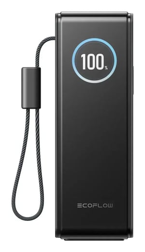EcoFlow EF-RAPID25K100W-S-EU bank mocy 25000 mAh Czarny, Srebrny