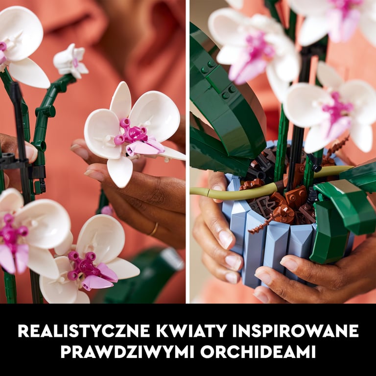 LEGO Botanicals Orchidea
