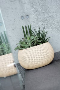 Prosperplast DKSP240-CY728 Flower Pot, White, 1 pc.