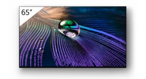 Sony FWD-65A90J skyltdisplay Platt skärm Digital Signage 165,1 cm (65") OLED Wi-Fi 4K Ultra HD Svart Android 10