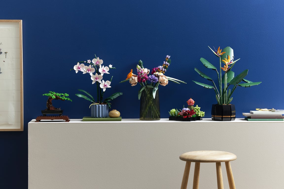 LEGO Botanicals Orchidea