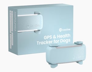 Tractive GPS DOG 6 PET Namierzacz GPS Miętowy