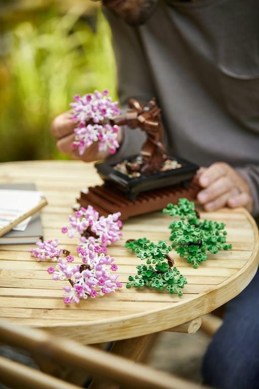 LEGO Botanicals Drzewko bonsai