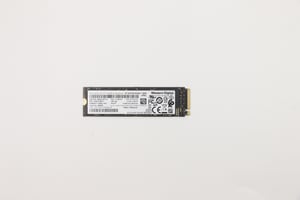 Lenovo 5SS0V26411 256 GB M.2 PCI Express 3.0 SSD