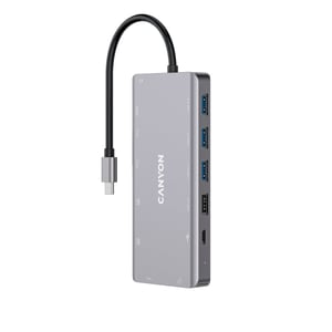 Canyon DS-12 USB 3.2 Gen 1 (3.1 Gen 1) Typ C Grau