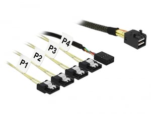 DeLOCK 85732 SAS Cable, 1 m, Black, Green
