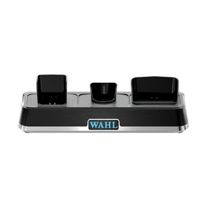 Wahl 3023997 Battery Charger, AC Power