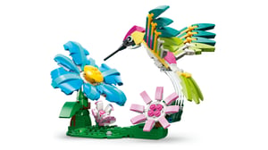 LEGO Creator Dzikie zwierzęta: kolorowy koliber