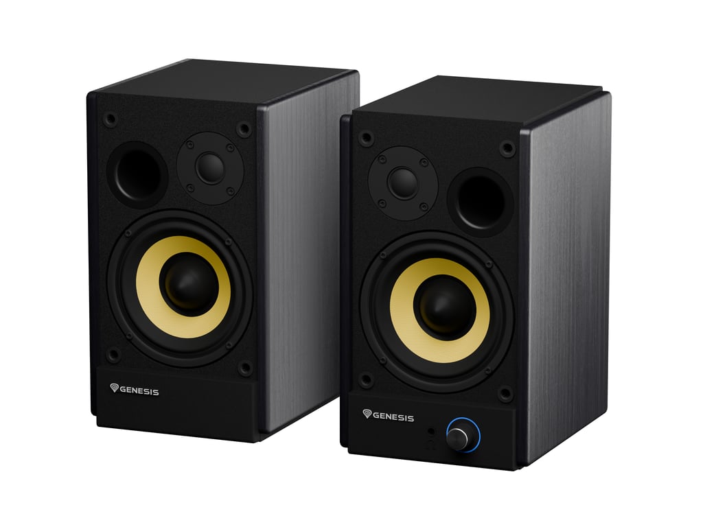 фото Акустические колонки Genesis Arsen 502BT Black (NGS-2417) 3
