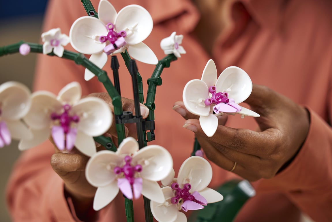LEGO Botanicals Orchidea