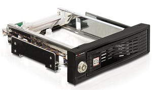 DeLOCK 5,25" Mobile Rack 8,89 cm (3,5") Für die Wandmontage Schwarz