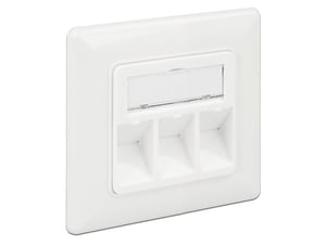 DeLOCK 86194 gniazdko elektryczne RJ-45 Srebrny, Biały