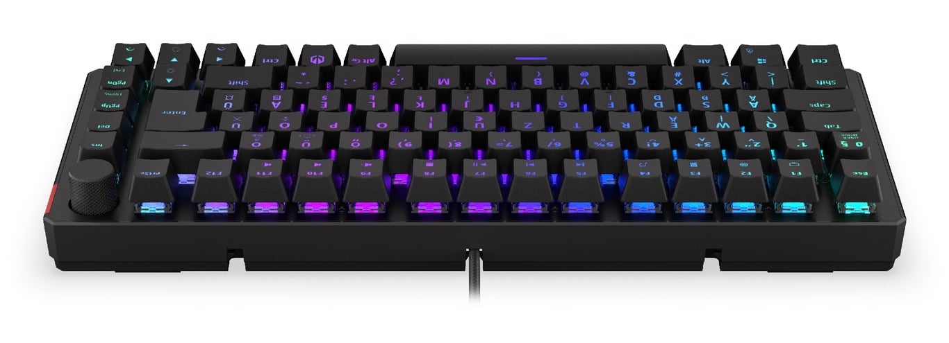 ENDORFY EY5E007 klawiatura Gaming USB Węgierski Czarny
