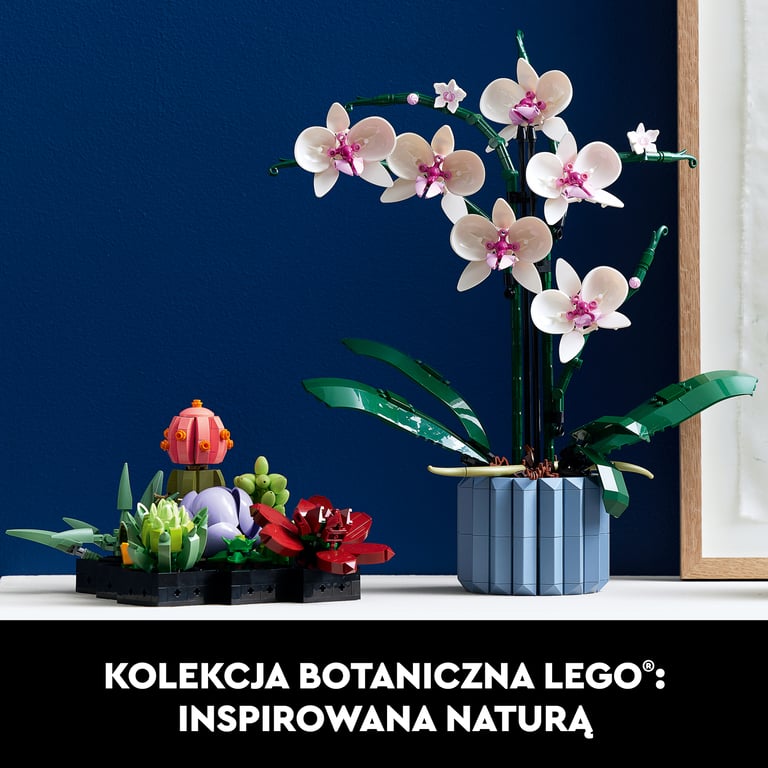 LEGO Botanicals Orchidea