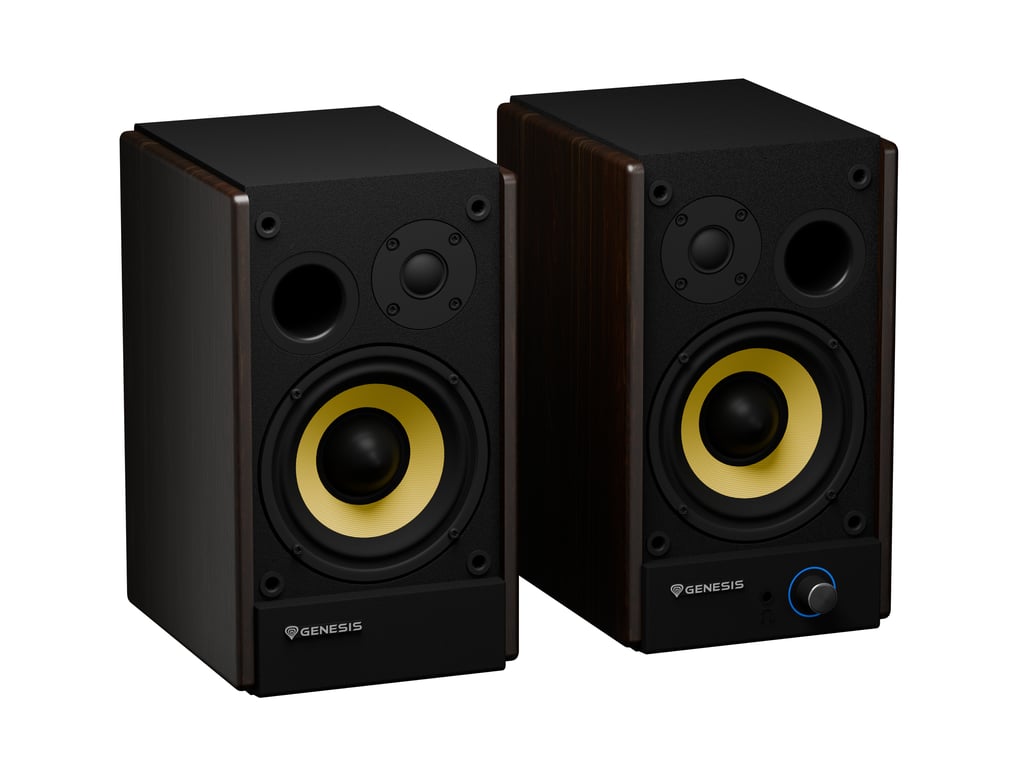 фото Акустические колонки Genesis Arsen 502BT Black/Brown (NGS-2418) 1