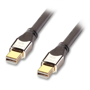 Lindy 41542 DisplayPort-Kabel, 2 m, Mini DisplayPort, schwarz