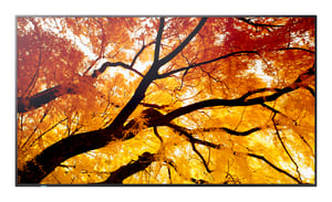 Sharp MultiSync M432 Płaski panel Digital Signage 108 cm (42.5") LCD 550 cd/m² 4K Ultra HD Czarny