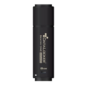 DataLocker Sentry One Managed USB-Stick 16 GB, USB Typ A 3.2 Gen 1 (3.1 Gen 1), schwarz