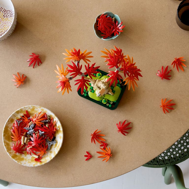 фото Блоковий конструктор LEGO Botanicals Бонсай з японського червоного клена (10348)