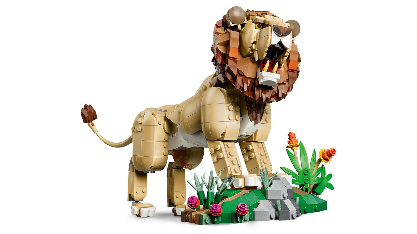 LEGO Creator Dzikie zwierzęta: Dumny lew