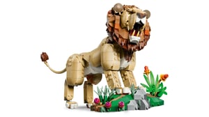 LEGO Creator Dzikie zwierzęta: Dumny lew