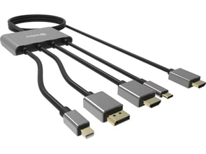 Sandberg 509-21 adapter kablowy 2 m HDMI Typu A (Standard) DisplayPort + Mini DisplayPort + HDMI + USB Type-C Czarny