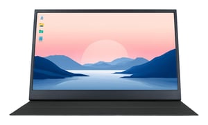 Denver PMO-15602 tragbarer Fernseher / Monitor Tragbarer Monitor Schwarz 39,6 cm (15,6") LCD 1920 x 1080 px