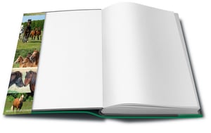 HERMA 21267 Magazine and Book Cover, Green