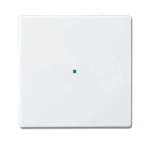 Busch-Jaeger 2CKA006220A0034 Sensor Mounting Kit and Cover, White