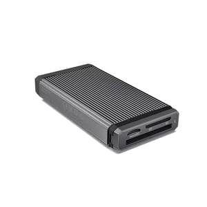 SanDisk PRO-READER USB 3.2 Gen 2 (3.1 Gen 2) Type-C-Kartenlesegerät, schwarz