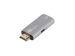 Lanberg AD-HD-DP-01 kabeladapter 0 m HDMI typ A (standard) DisplayPort silver