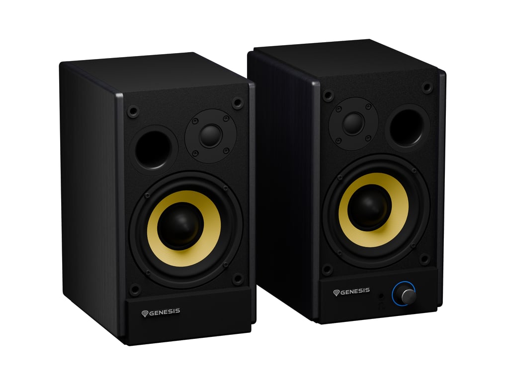 фото Акустические колонки Genesis Arsen 502BT Black (NGS-2417) 1