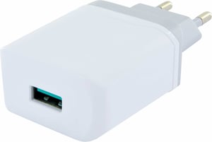 Schwaiger LAD440 532 Digital Camera, Headphones, Smartphone, Tablet White AC Fast Charging Internal